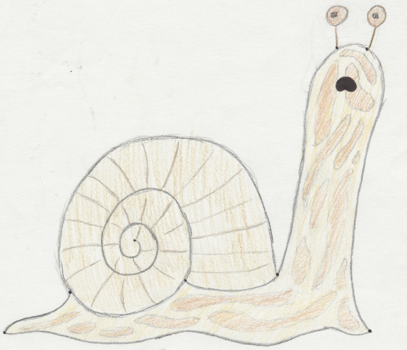 snail