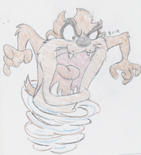 taz taz