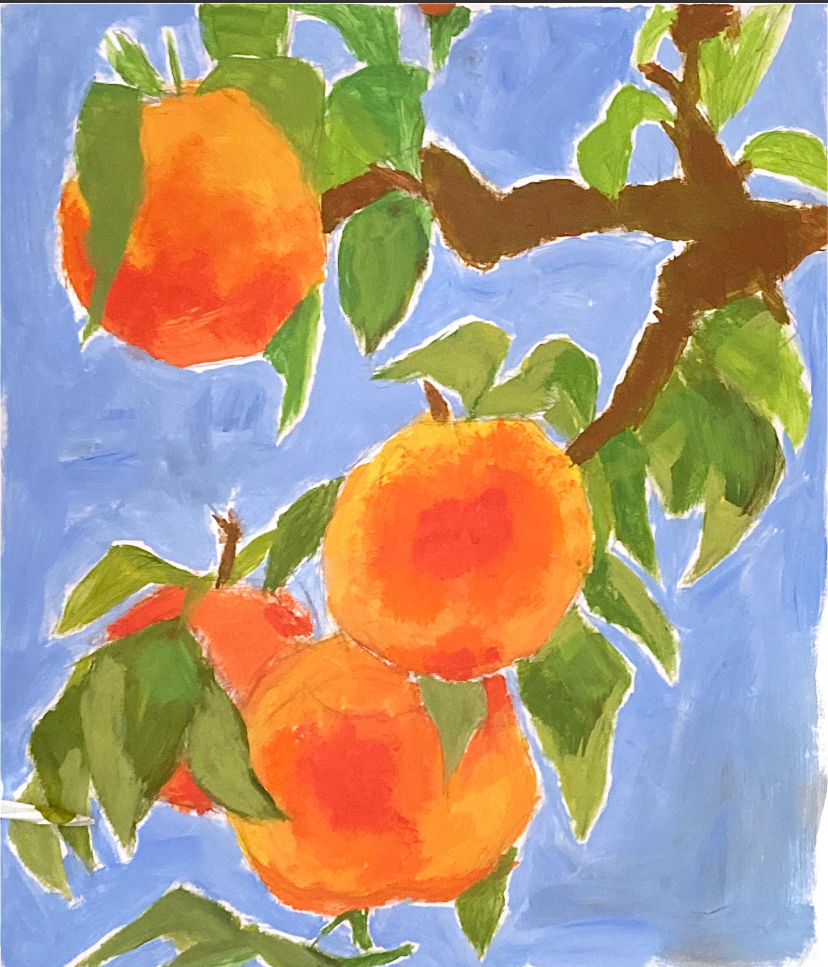 Apricots